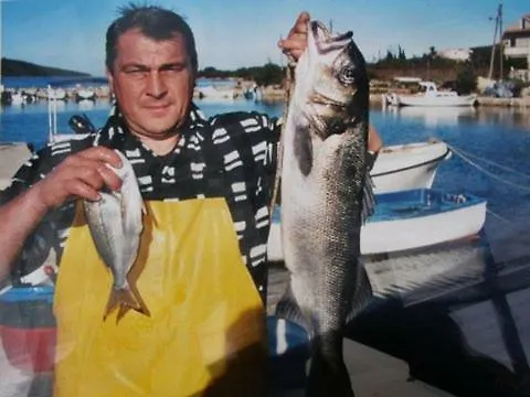 Διαμέρισμα Majer